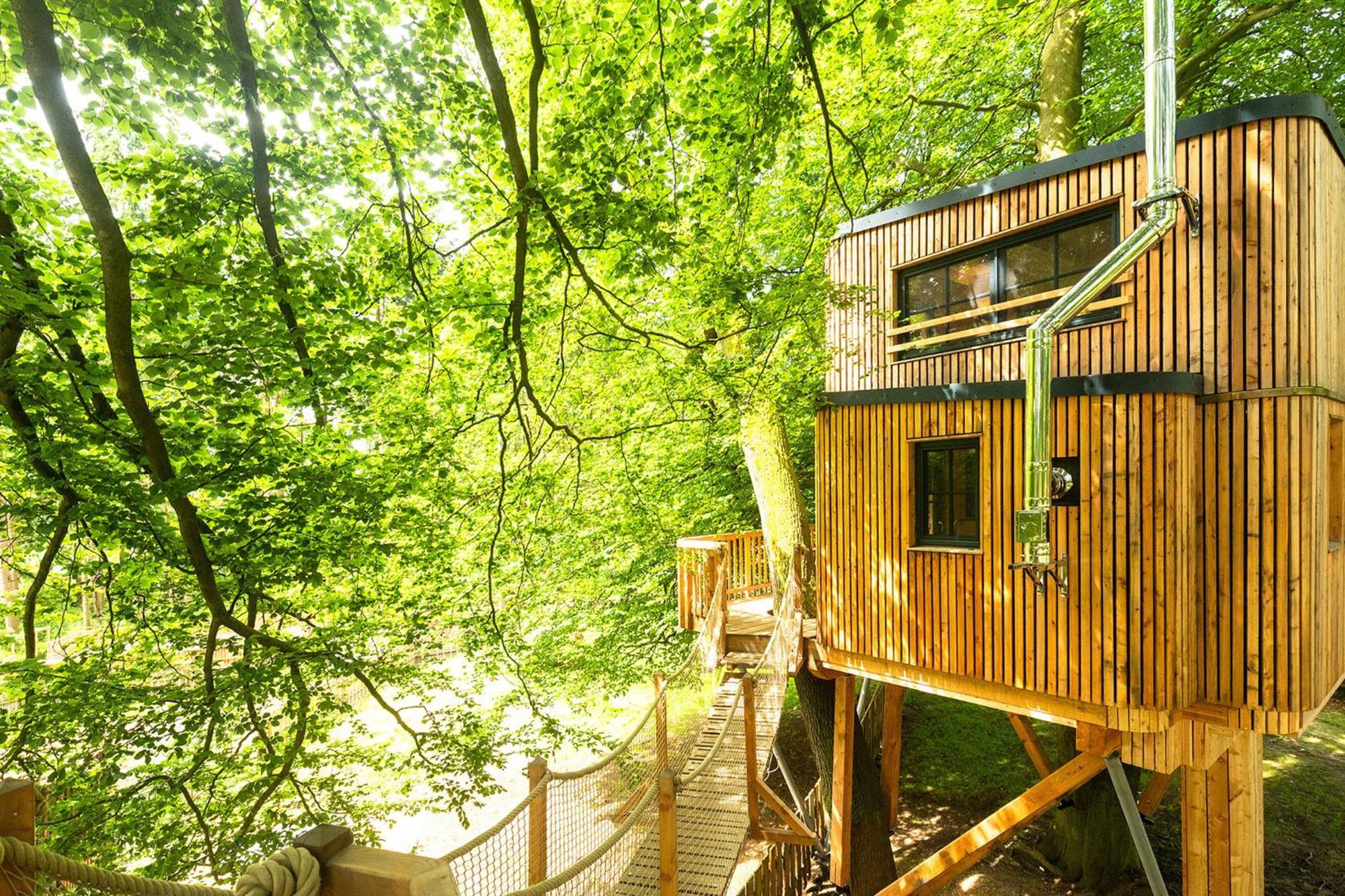 Appartamento Heide Ferien - Hof Bockelmann Bispingen Esterno foto