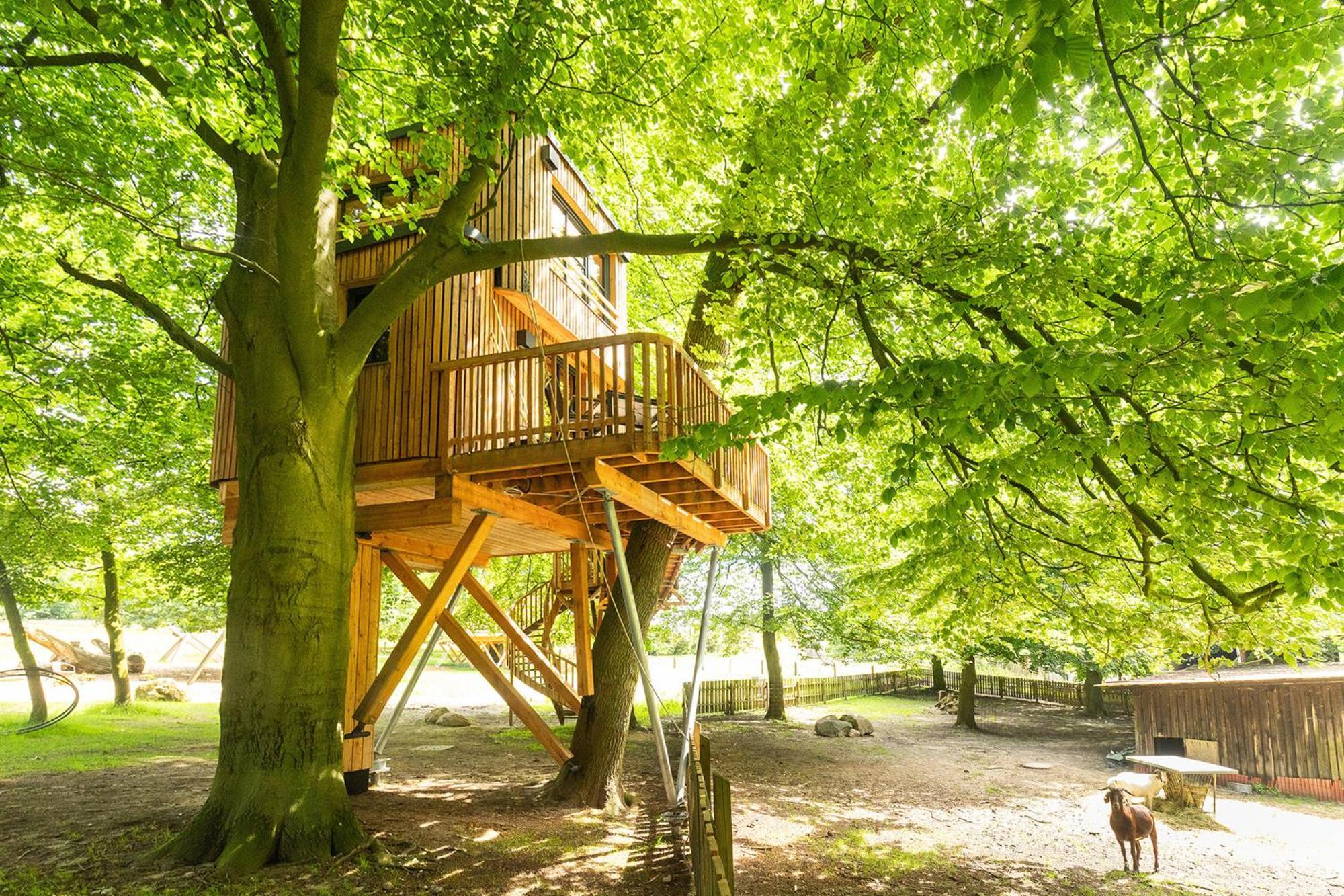 Appartamento Heide Ferien - Hof Bockelmann Bispingen Esterno foto