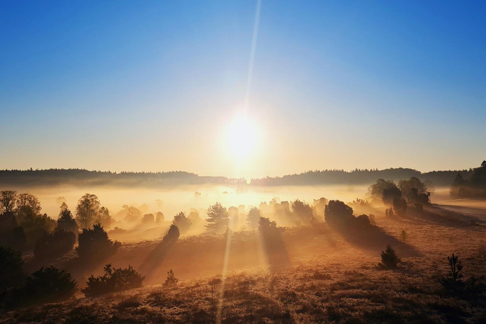 Appartamento Heide Ferien - Hof Bockelmann Bispingen Esterno foto