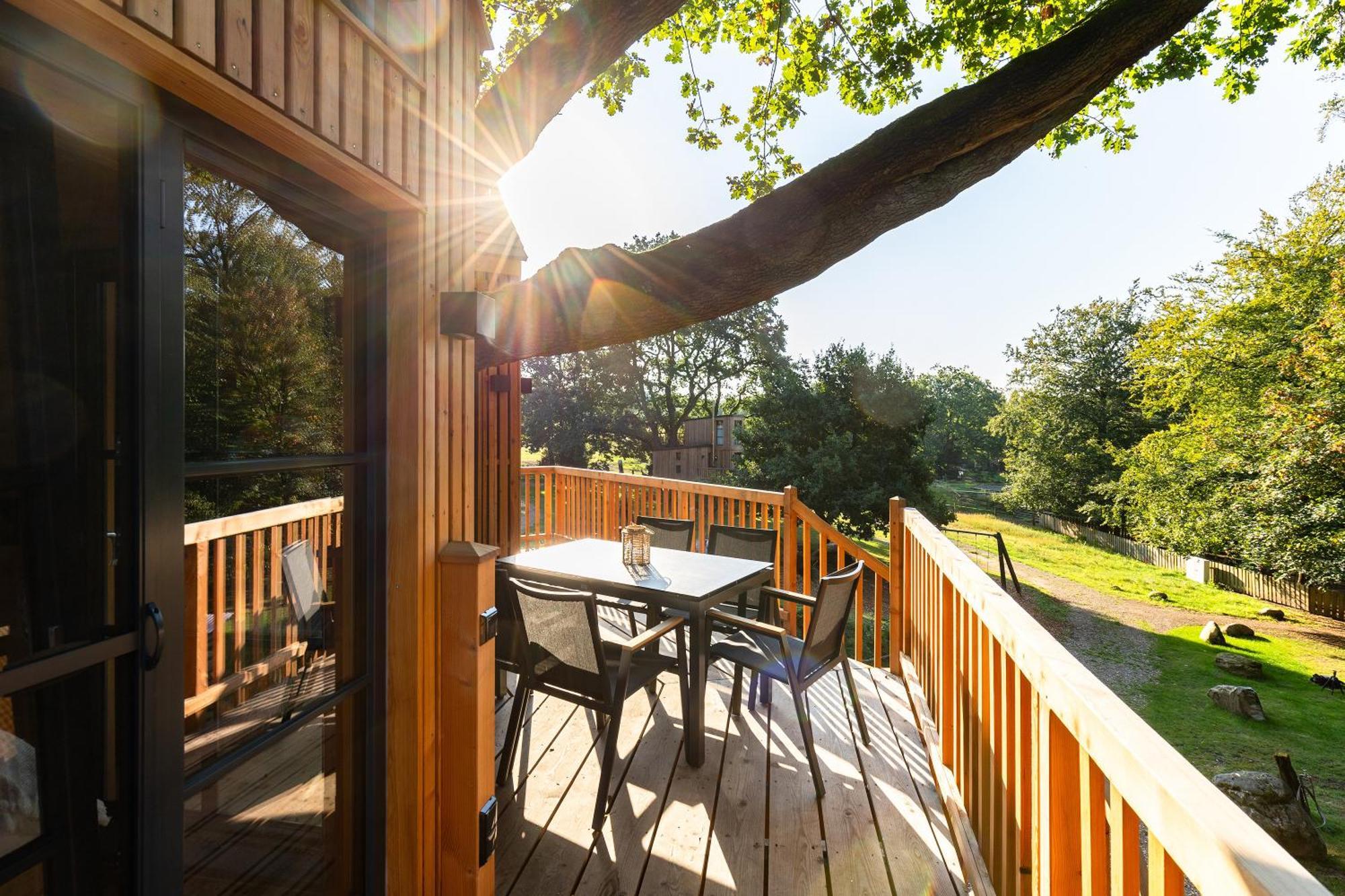 Appartamento Heide Ferien - Hof Bockelmann Bispingen Esterno foto